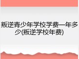 叛逆青少年学校学费一年多少(叛逆学校年费)