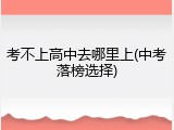 考不上高中去哪里上(中考落榜选择)