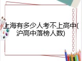 上海有多少人考不上高中(沪高中落榜人数)
