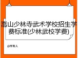 嵩山少林寺武术学校招生学费标准(少林武校学费)