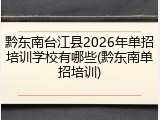 黔东南台江县2026年单招培训学校有哪些(黔东南单招培训)