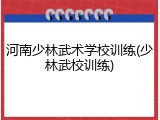 河南少林武术学校训练(少林武校训练)