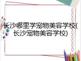 长沙哪里学宠物美容学校(长沙宠物美容学校)