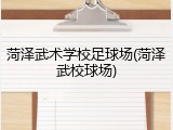 菏泽武术学校足球场(菏泽武校球场)