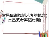 宜昌集训舞蹈艺考的地方(宜昌艺考舞蹈集训)