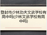 登封市少林功夫文武学校有高中吗(少林文武学校有高中吗)