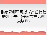 张家界哪里可以学产后修复培训中专生(张家界产后修复培训)