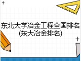 东北大学冶金工程全国排名(东大冶金排名)