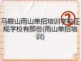 马鞍山雨山单招培训学校正规学校有那些(雨山单招培训)
