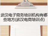 武汉电子商务培训机构有哪些地方(武汉电商培训点)
