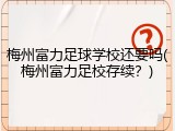 梅州富力足球学校还要吗(梅州富力足校存续？)