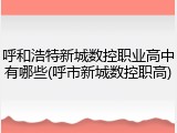 呼和浩特新城数控职业高中有哪些(呼市新城数控职高)