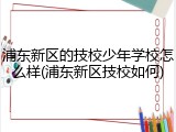 浦东新区的技校少年学校怎么样(浦东新区技校如何)