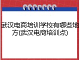 武汉电商培训学校有哪些地方(武汉电商培训点)