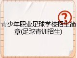 青少年职业足球学校招生简章(足球青训招生)