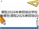 普陀2026年单招培训学校有哪些(普陀2026单招培训)