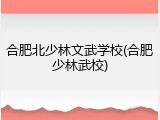 合肥北少林文武学校(合肥少林武校)