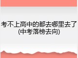 考不上高中的都去哪里去了(中考落榜去向)
