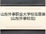 山东外事职业大学校花是谁(山东外事校花)