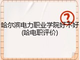 哈尔滨电力职业学院好不好(哈电职评价)