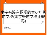 南宁有没有正规的青少年叛逆学校(南宁叛逆学校正规吗)