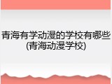 青海有学动漫的学校有哪些(青海动漫学校)