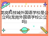 龙岗科技城外国语学校是公立吗(龙岗外国语学校公立吗)