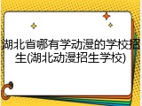 湖北省哪有学动漫的学校招生(湖北动漫招生学校)