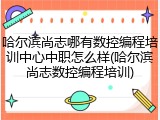哈尔滨尚志哪有数控编程培训中心中职怎么样(哈尔滨尚志数控编程培训)