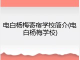电白杨梅寄宿学校简介(电白杨梅学校)