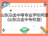 山东冶金中等专业学校间章(山东冶金中专校章)