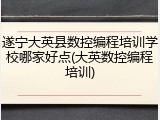 遂宁大英县数控编程培训学校哪家好点(大英数控编程培训)