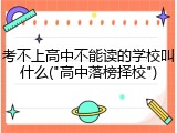 考不上高中不能读的学校叫什么("高中落榜择校")
