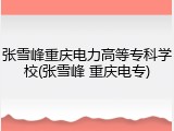 张雪峰重庆电力高等专科学校(张雪峰 重庆电专)