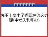 考不上高中了吗现在怎么办呢(中考失利咋办)