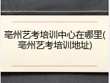 亳州艺考培训中心在哪里(亳州艺考培训地址)
