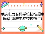 重庆电力专科学校技校招生简章(重庆电专技校招生)