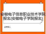 安徽电子信息职业技术学院报名(安徽电子学院报名)
