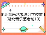 湖北音乐艺考培训学校前十(湖北音乐艺考前10)