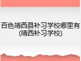 百色靖西县补习学校哪里有(靖西补习学校)
