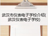 武汉市仪表电子学校介绍(武汉仪表电子学校)