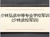 少林弘武中等专业学校军训(少林武校军训)