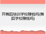 开舞蹈培训学校赚钱吗(舞蹈学校赚钱吗)