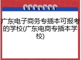 广东电子商务专插本可报考的学校(广东电商专插本学校)