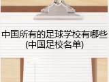 中国所有的足球学校有哪些(中国足校名单)