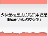少林武校是技校吗职中还是职高(少林武校类型)