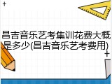 昌吉音乐艺考集训花费大概是多少(昌吉音乐艺考费用)