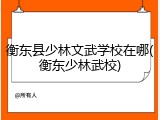 衡东县少林文武学校在哪(衡东少林武校)