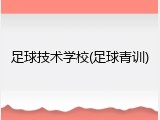 足球技术学校(足球青训)