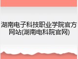 湖南电子科技职业学院官方网站(湖南电科院官网)